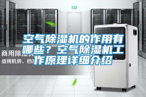 空氣91看片软件大全的作用有哪些？空氣91看片软件大全工作原理詳細介紹