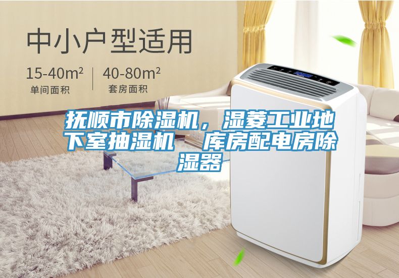 撫順市91看片软件大全，濕菱工業地下室抽濕機  庫房配電房除濕器