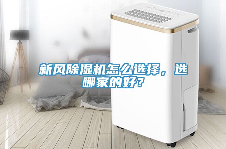 新風91看片软件大全怎麽選擇，選哪家的好？