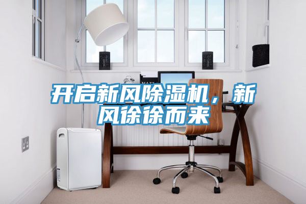 開啟新風91看片软件大全，新風徐徐而來
