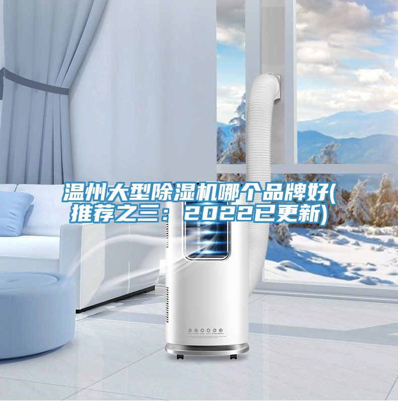 溫州大型91看片软件大全哪個品牌好(推薦之三：2022已更新)