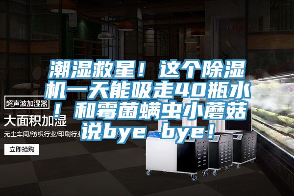 潮濕救星！這個91看片软件大全一天能吸走40瓶水！和黴菌蟎蟲小蘑菇說bye bye！