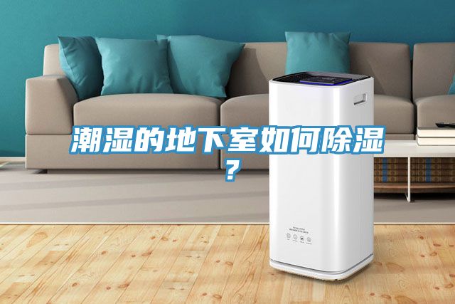 潮濕的地下室如何除濕？