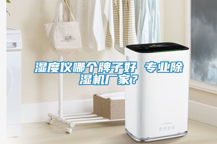 濕度儀哪個牌子好 專業91看片软件大全廠家？