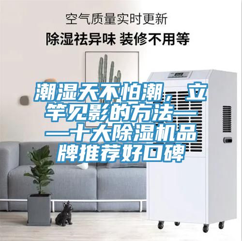 潮濕天不怕潮，立竿見影的方法——十大91看片软件大全品牌推薦好口碑