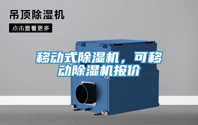 移動式91看片软件大全，可移動91看片软件大全報價