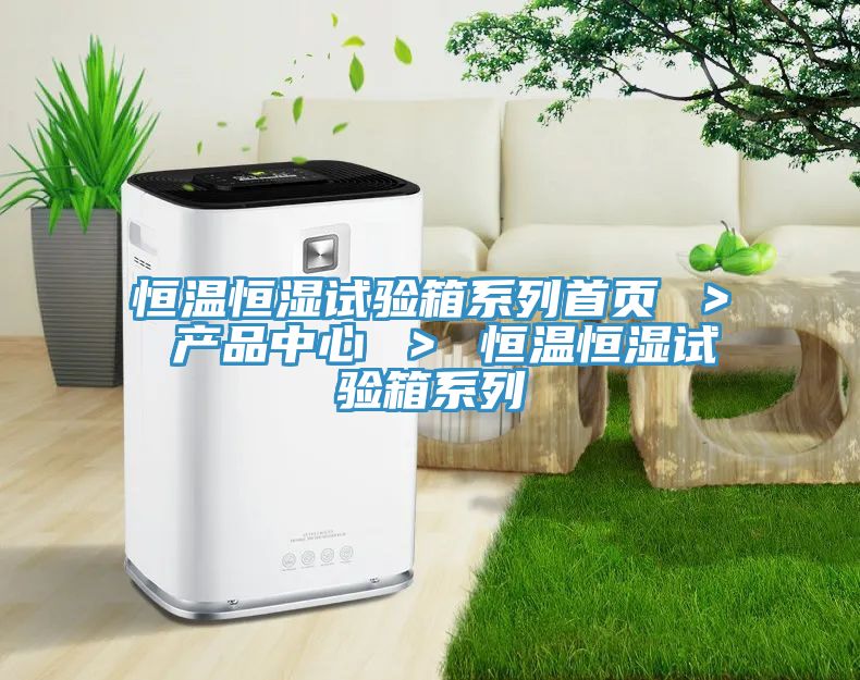 恒溫恒濕試驗箱係列首頁 ＞ 91看片永久免费 ＞ 恒溫恒濕試驗箱係列
