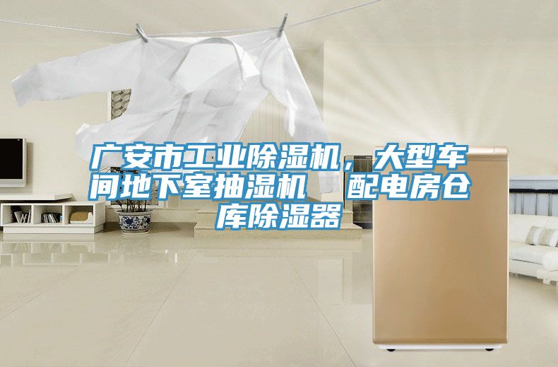 廣安市工業91看片软件大全，大型車間地下室抽濕機  配電房倉庫除濕器