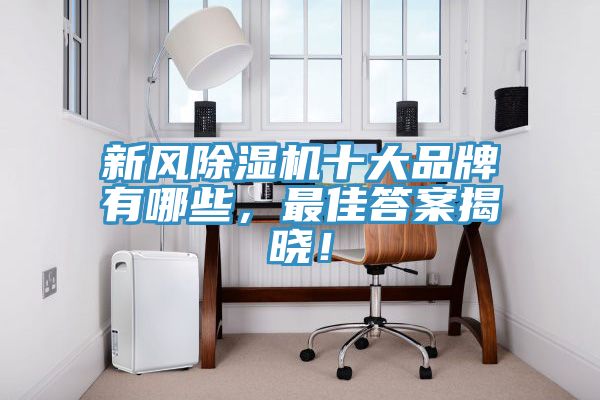 新風91看片软件大全十大品牌有哪些，最佳答案揭曉！