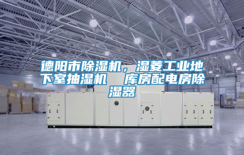 德陽市91看片软件大全，濕菱工業地下室抽濕機  庫房配電房除濕器