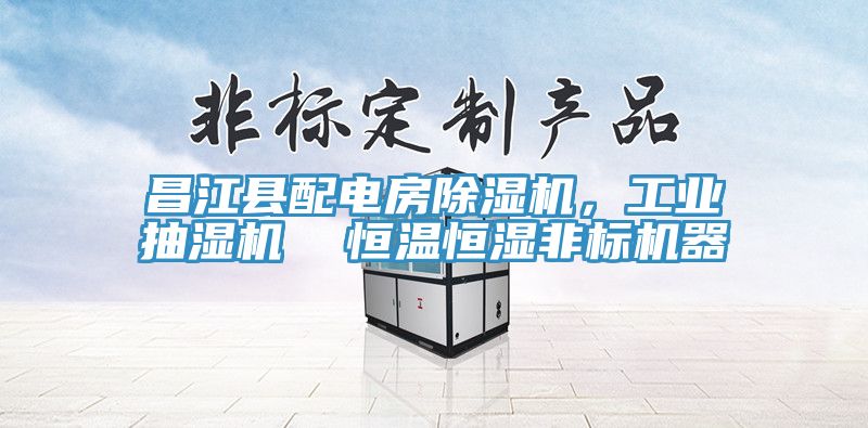昌江縣配電房91看片软件大全，工業抽濕機  恒溫恒濕非標機器