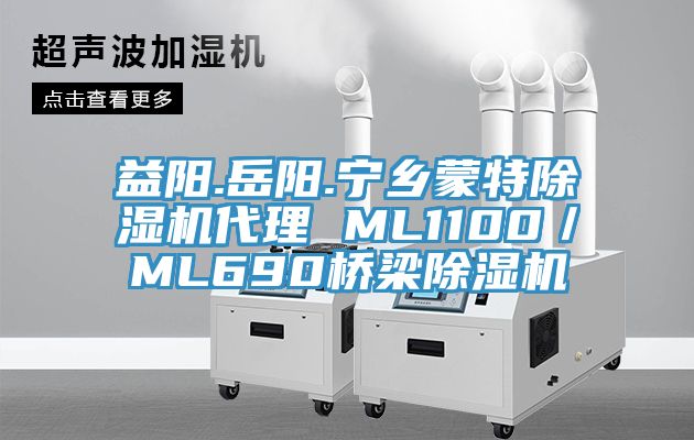 益陽.嶽陽.寧鄉蒙特91看片软件大全代理 ML1100／ML690橋梁91看片软件大全