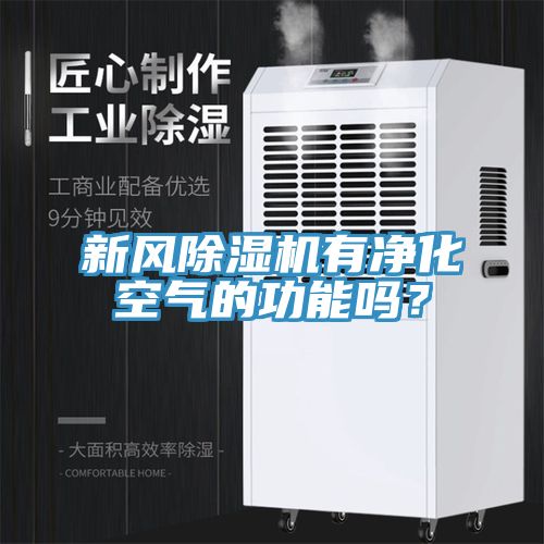新風91看片软件大全有淨化空氣的功能嗎？