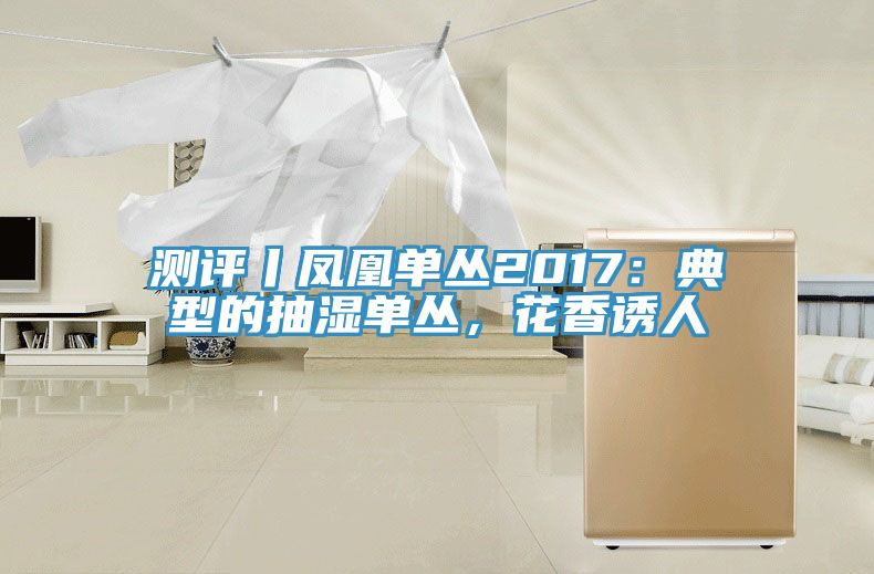 測評丨鳳凰單叢2017：典型的抽濕單叢，花香誘人