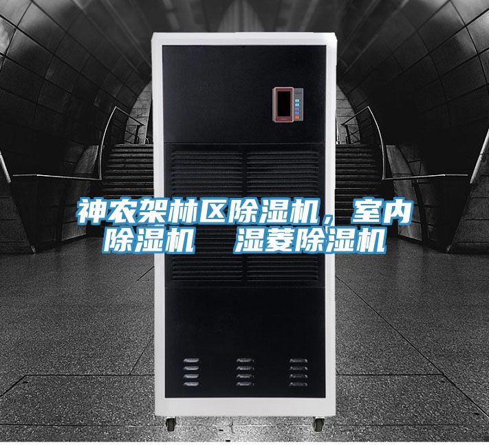 神農架林區91看片软件大全，室內91看片软件大全  濕菱91看片软件大全