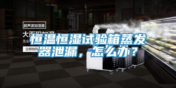 恒溫恒濕試驗箱蒸發器泄漏，怎麽辦？