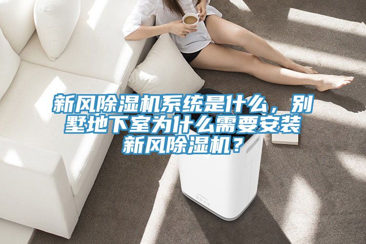 新風91看片软件大全係統是什麽，別墅地下室為什麽需要安裝新風91看片软件大全？