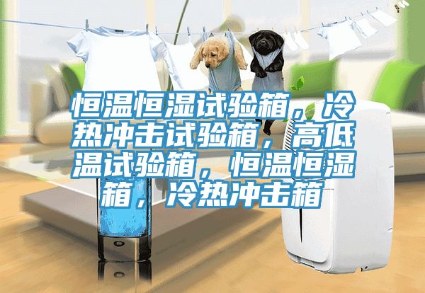 恒溫恒濕試驗箱，冷熱衝擊試驗箱，高低溫試驗箱，恒溫恒濕箱，冷熱衝擊箱