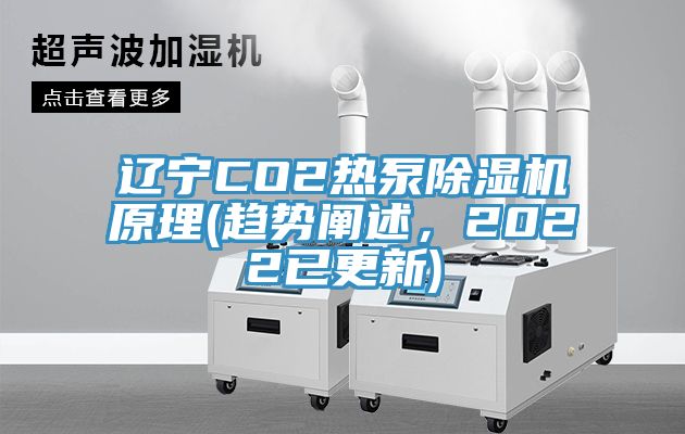 遼寧CO2熱泵91看片软件大全原理(趨勢闡述，2022已更新)