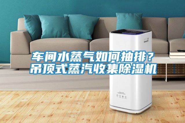 車間水蒸氣如何抽排？吊頂式蒸汽收集91看片软件大全