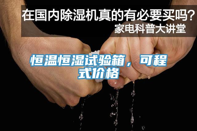恒溫恒濕試驗箱，可程式價格