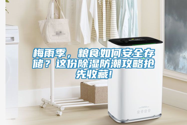 梅雨季，糧食如何安全存儲？這份除濕防潮攻略搶先收藏!
