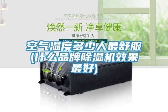 空氣濕度多少人最舒服(什麽品牌91看片软件大全效果最好)