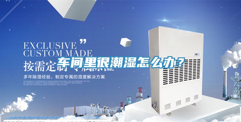 車間裏很潮濕怎麽辦？