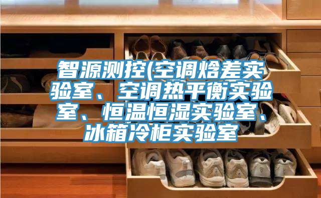 智源測控(空調焓差實驗室、空調熱平衡實驗室、恒溫恒濕實驗室、冰箱冷櫃實驗室