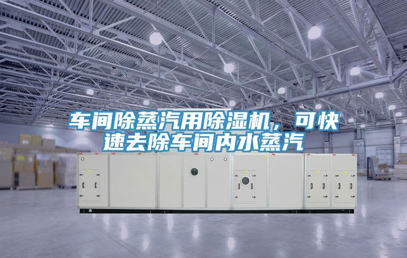 車間除蒸汽用91看片软件大全，可快速去除車間內水蒸汽