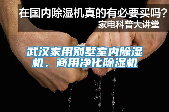 武漢家用別墅室內91看片软件大全，商用淨化91看片软件大全