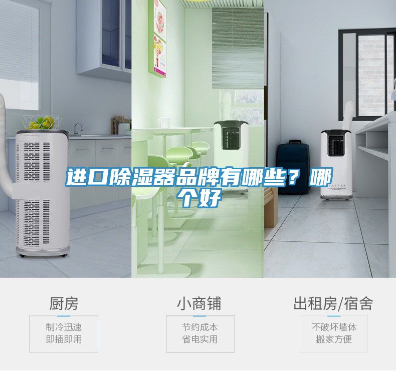 進口除濕器品牌有哪些？哪個好