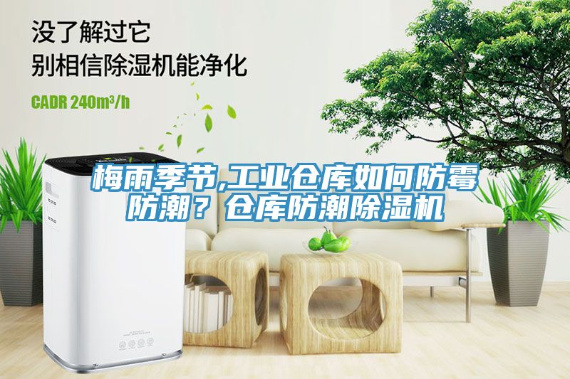 梅雨季節,工業倉庫如何防黴防潮？倉庫防潮91看片软件大全