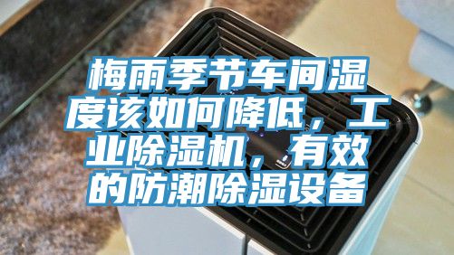 梅雨季節車間濕度該如何降低，工業91看片软件大全，有效的防潮除濕設備