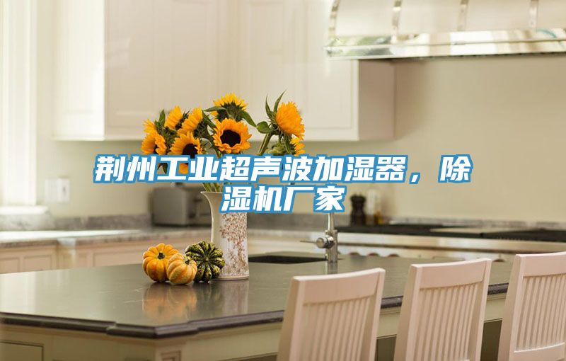 荊州工業超聲波加濕器，91看片软件大全廠家