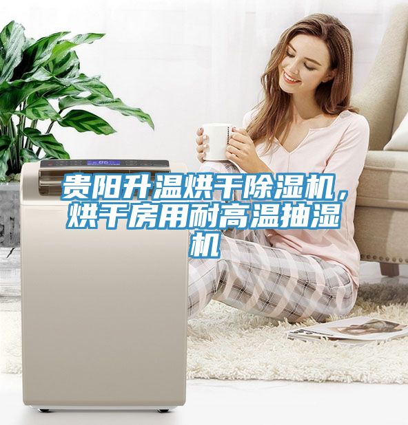 貴陽升溫烘幹91看片软件大全，烘幹房用耐高溫抽濕機