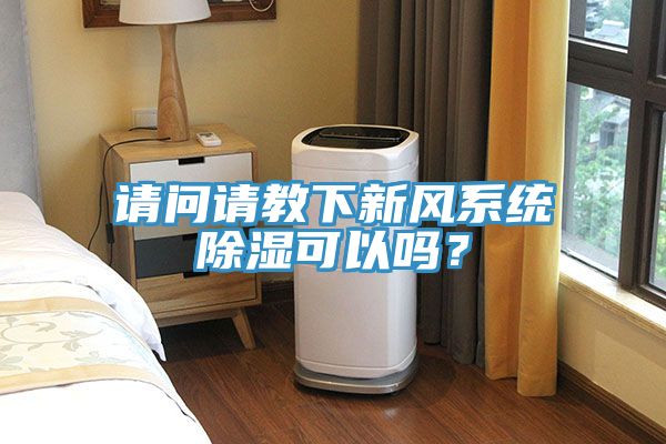 請問請教下新風係統除濕可以嗎？