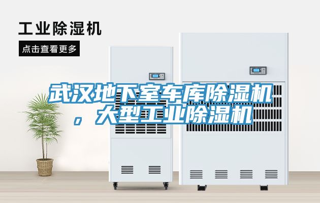 武漢地下室車庫91看片软件大全，大型工業91看片软件大全