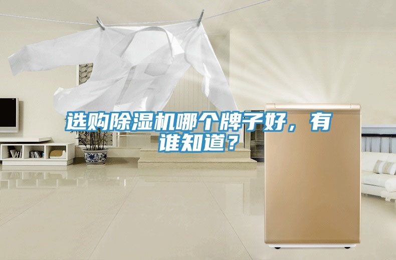 選購91看片软件大全哪個牌子好，有誰知道？