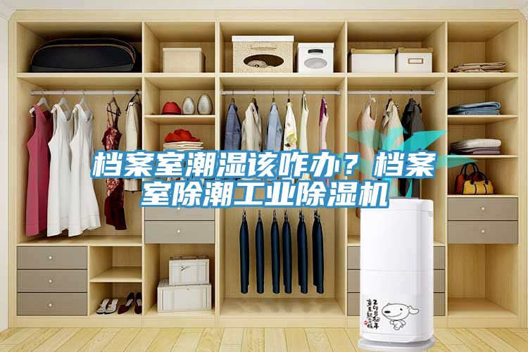 檔案室潮濕該咋辦？檔案室除潮工業91看片软件大全