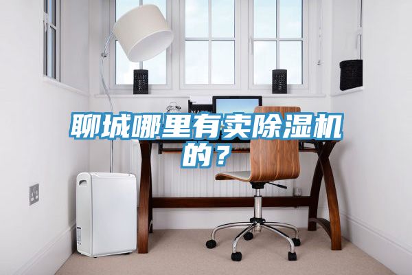 聊城哪裏有賣91看片软件大全的？