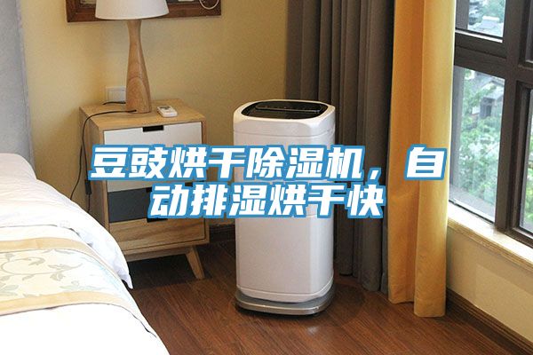 豆豉烘幹91看片软件大全，自動排濕烘幹快
