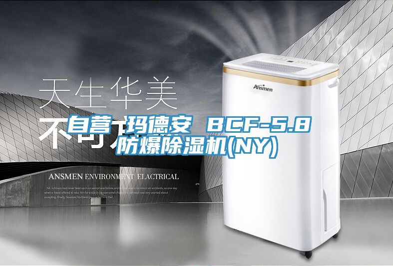 自營 瑪德安 BCF-5.8 防爆91看片软件大全(NY)