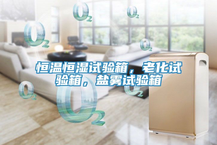 恒溫恒濕試驗箱，老化試驗箱，鹽霧試驗箱