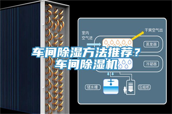 車間除濕方法推薦？車間91看片软件大全