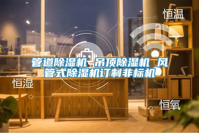 管道91看片软件大全 吊頂91看片软件大全 風管式91看片软件大全訂製非標機