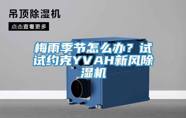梅雨季節怎麽辦？試試約克YVAH新風91看片软件大全