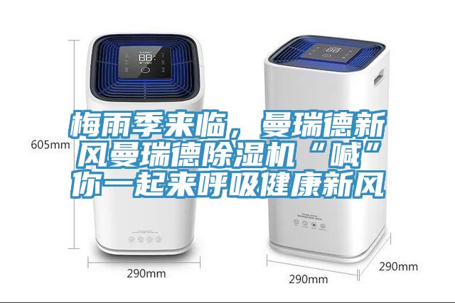 梅雨季來臨，曼瑞德新風曼瑞德91看片软件大全“喊”你一起來呼吸健康新風