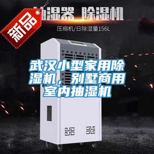 武漢小型家用91看片软件大全，別墅商用室內抽濕機