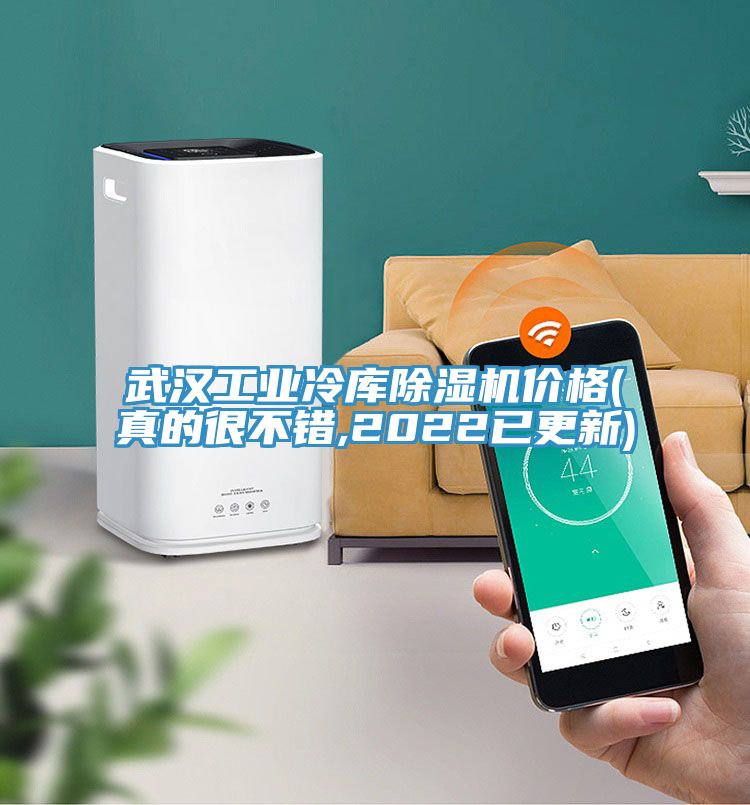 武漢工業冷庫91看片软件大全價格(真的很不錯,2022已更新)
